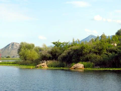 Exploring the Tranquil Waters of Skadar Lake in Montenegros Breathtaking La.. Stock Photos