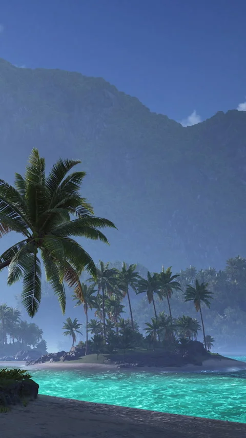 Exploring a tropical island with palm trees and mountains in the background Stock Footage 341039465