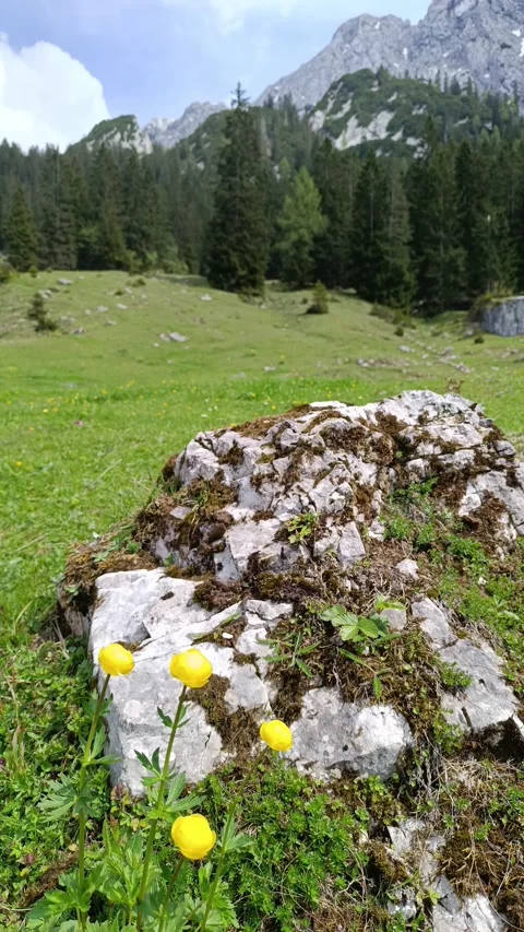 Exploring Tyrol with alpine landscapes Stock-Footage 310037864