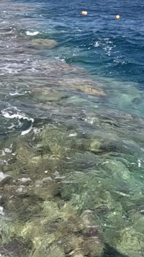 Exploring the Underwater Beauty: A Close-Up View of Vibrant Coral Reefs and Video stock 330096942
