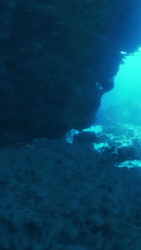 Exploring an underwater cave and its rock formations in clear blue water Stock Footage 342100218