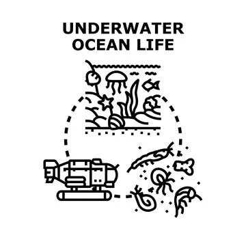 Exploring underwater ocean life and marine ecosystem research Stock Illustration