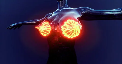 Exploring the unique anatomy and function of mammary glands in human biology 스톡 동영상 318455533