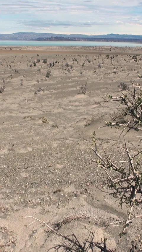 Exploring the unique landscapes of Los Alerces National Park in Patagonia Stock Footage 309460182