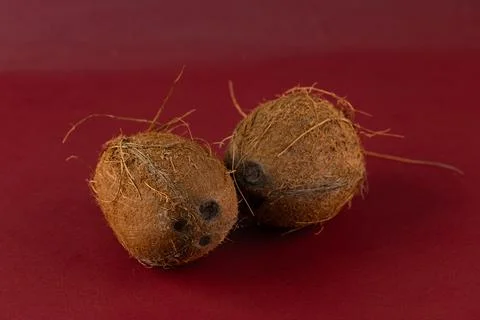 Exploring Unique Root Vegetables: A Close-Up of Two Unusual Tubers Showcasing Stock Photos