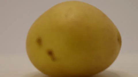 Exploring the unique texture and color of a perfectly rounded potato in a minima Stock Footage 328635490