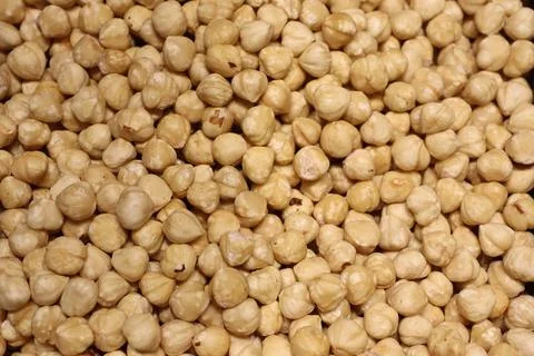 Exploring the Unique Texture of Raw Chickpeas for Various Culinary and Health Stock Photos