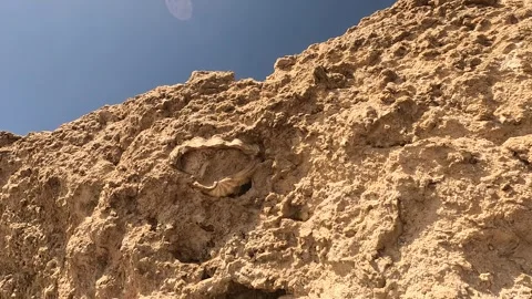 Exploring the Unique Textures and Formations of a Rocky Landscape Under Bright Stock Footage 330183950