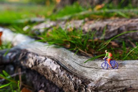 Exploring The Unknown Path With A Miniature Cyclist On A Tree Log Stock-Fotos