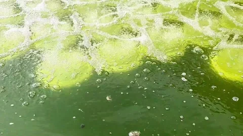 Exploring the Vibrant Aeration Process in Water Treatment Tanks Stock Footage 345427114