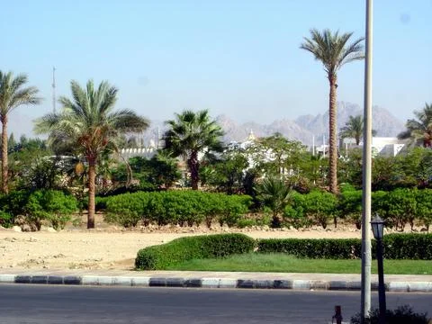 Exploring the Vibrant Cityscape and Lush Greenery of Sharm El Sheikh on a S.. Stock Photos