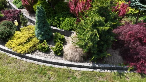 Exploring a Vibrant Garden With Diverse Plants and Colorful Landscaping Elements Stockbeeldmateriaal 314508235