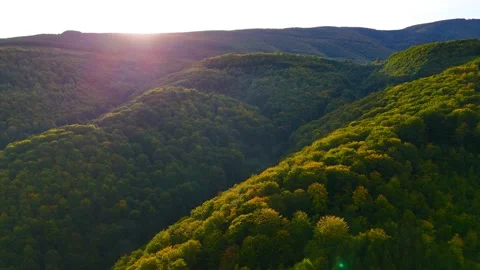 Exploring Vibrant Nature by Drone Vídeos de archivo 296667810