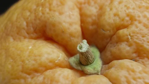 Exploring vibrant textures and patterns of fresh grapefruit under natural light Stock Footage 329937856