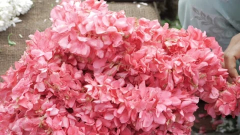 Exploring the Vibrant World of Indian Flower Markets Video stock 320862903