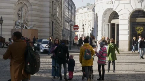 EXPLORING VIENNA Stock Footage 221349726