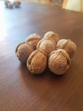 Exploring the view of walnut seeds from side Stock Photos