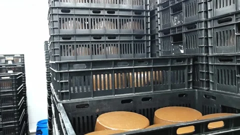Exploring a warehouse filled with stacked containers storing food items at a loc Stock-Footage 325730573