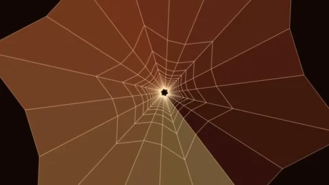 Exploring web patterns from an abstract perspective Stock Footage 336994973