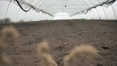 Exploring a well-prepared greenhouse ready for planting Video stock 289478309