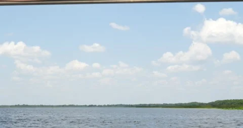 Exploring the Wild Everglades Stock Footage 242644576