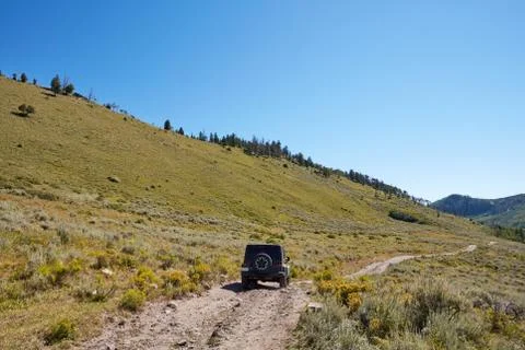 Exploring the wilderness on summer vacation Foto stock