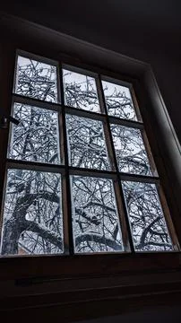 Exploring winter from window Stock Photos
