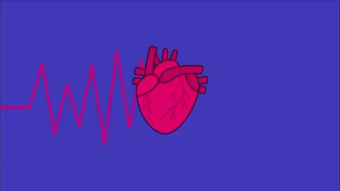 Exploring the wonders of the human heart in lively animation and vibrant colors Stock Footage 327127657