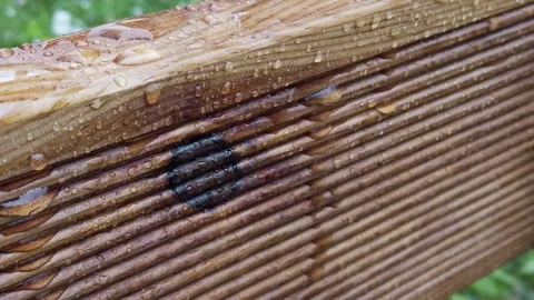 Exploring wood texture and water droplet patterns on a wooden surface in a Stock Footage 344318143
