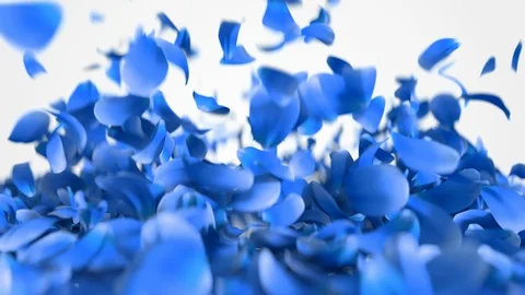 Explosion of blue flower petals with alpha matte. Close up 3D render of floral f Video stock 123104811