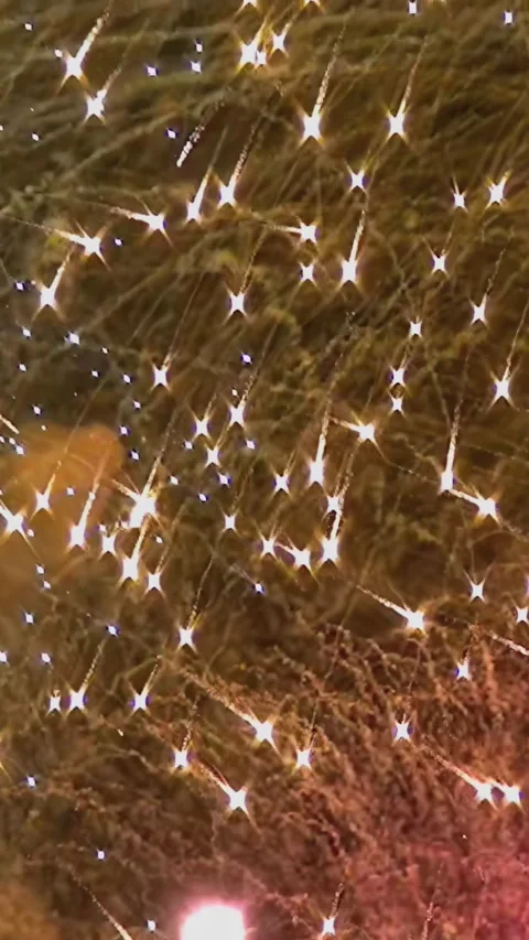Explosion Of Celebration at The Independence Day Fireworks Show Stock Footage 344462930
