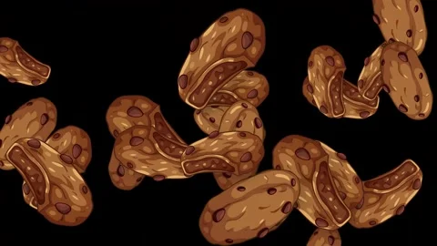 Explosion of Chocolate Chip Cookies Falling Against a Black Background Stock Footage 344832189