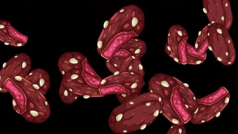 Explosion of Chocolate Covered Fruit Snacks on Black Background Stock Footage 343836718