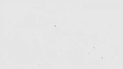 Explosion Confetti Alpha Channel Stock Footage 165367901