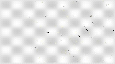 Explosion Confetti Alpha Channel Stock Footage 165367939
