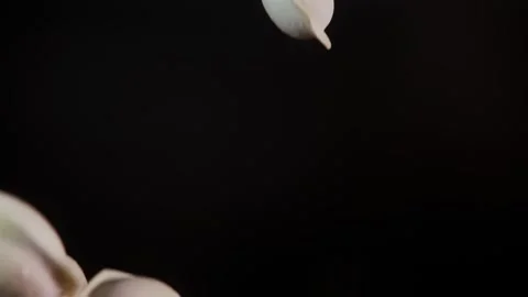 Explosion of dumplings in slow motion on a dark background Video stock 282521313