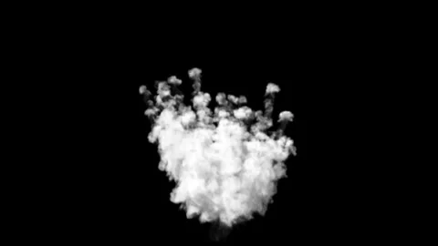 Explosion with fast white smoke dissipation isolated with an alpha channel Stock Footage 255636555