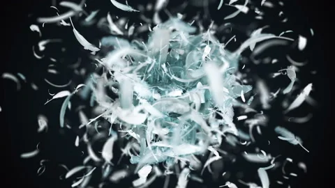 Explosion Of Feathers in 4K 库存影片 129999210