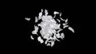 Explosion Of Feathers Stock Footage