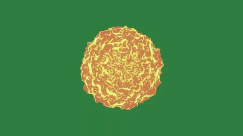An explosion of fire on a green screen and fireball with yellow flower it Video stock 335130326