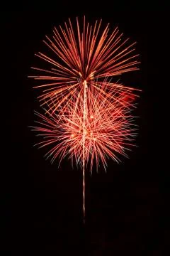 Explosion firework on the night time 库存照片