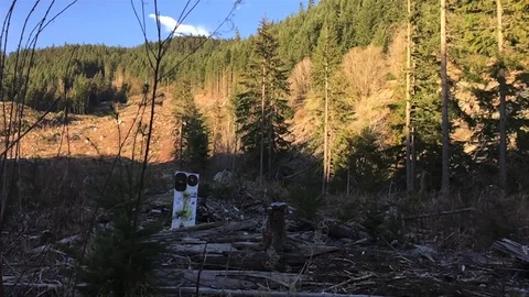 Explosion Stock Footage 79774564