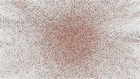 Explosion of gold particles. Motion background. A piece of golden glitter 動画素材 252276280