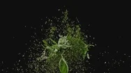 Explosion Of Herb Spice Mix Slow Motion Stock Footage