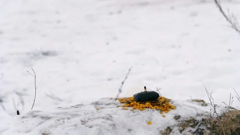 The explosion of improvised explosion packages Stock Footage 85575227