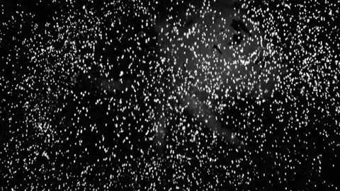 Explosion matte 72 1 1 Stock Footage 302295119