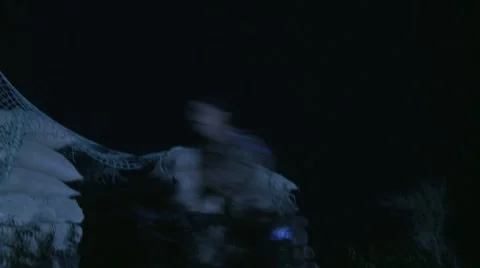 Explosion near bunker Video stock 7762517