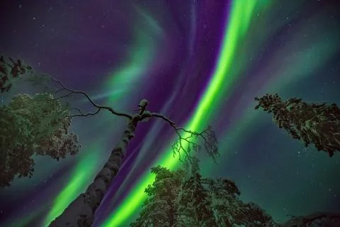 Explosion of Northern lights Stock Photos