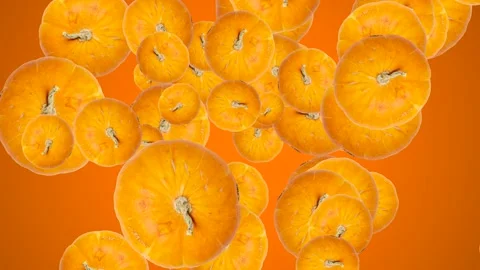 Explosion of orange Pumpkins on an orange background footage. Health and fresh Stock Footage 236603962