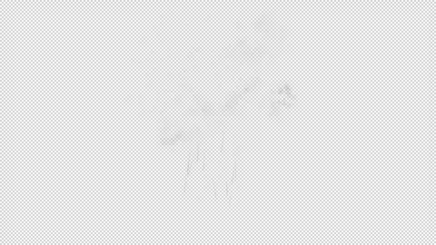 Explosion with particle and dust debris on transparent background Vídeos de archivo 250650852